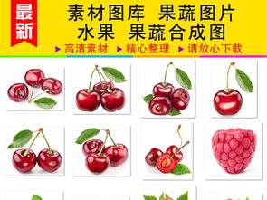 无需寻记忆的永恒·数字时代收藏的水果样本馆