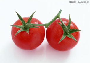 舌尖上的彩虹 缤纷蔬果图鉴